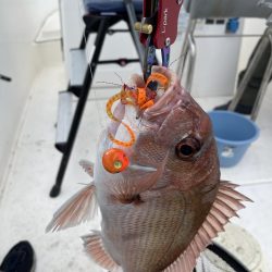 冬の播磨灘沖へタイラバ